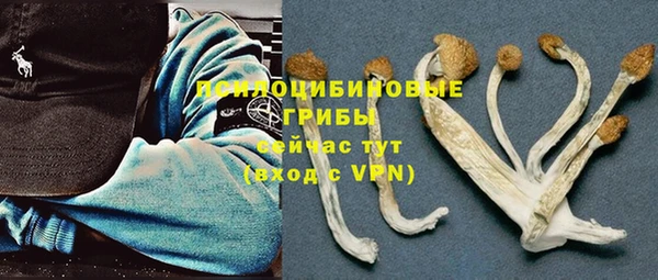 герыч Заводоуковск