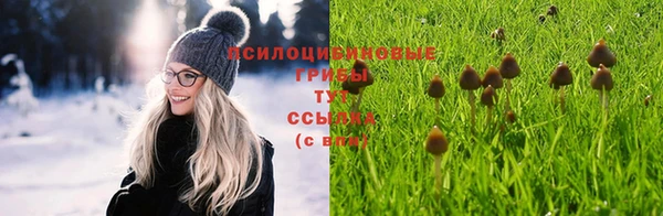эйфоретик Заволжск