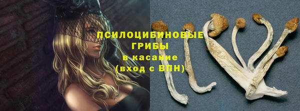 ешки Заволжье