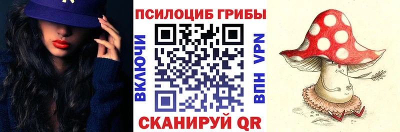 Галлюциногенные грибы GOLDEN TEACHER  купить  цена  Пролетарск 